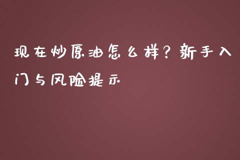 现在炒原油怎么样？新手入门与风险提示_https://wap.jnlaobingbanjia.com_财务管理_第1张