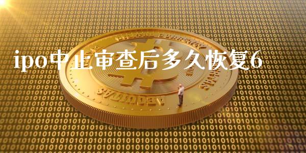 ipo中止审查后多久恢复6_https://wap.jnlaobingbanjia.com_股市行情_第1张