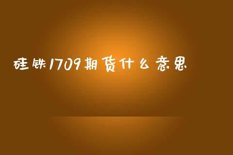 硅铁1709期货什么意思_https://wap.jnlaobingbanjia.com_股市行情_第1张