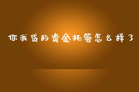 你我贷的资金托管怎么样了_https://wap.jnlaobingbanjia.com_基金分析_第1张
