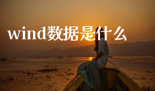 wind数据是什么_https://wap.jnlaobingbanjia.com_金融理财_第1张