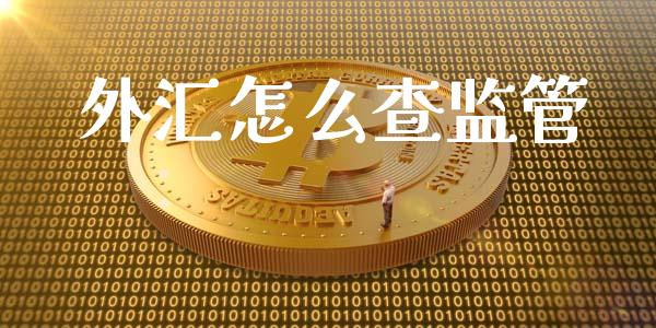 外汇怎么查监管_https://wap.jnlaobingbanjia.com_股市行情_第1张