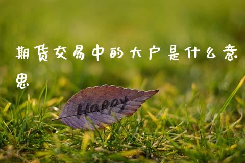 期货交易中的大户是什么意思_金融理财_第1张_财经资讯_股市行情_财务管理_金融理财 期货交易中的大户是什么意思_https://wap.jnlaobingbanjia.com_金融理财_第1张