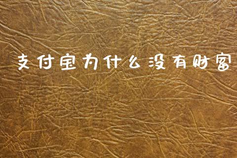 支付宝为什么没有财富_https://wap.jnlaobingbanjia.com_财务管理_第1张