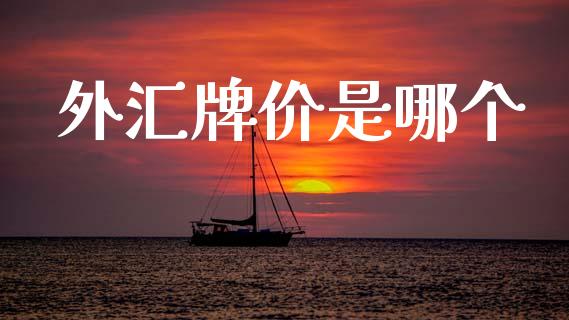 外汇牌价是哪个_https://wap.jnlaobingbanjia.com_财经资讯_第1张