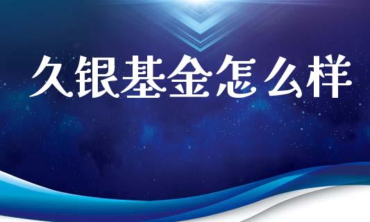 久银基金怎么样_https://wap.jnlaobingbanjia.com_财务管理_第1张