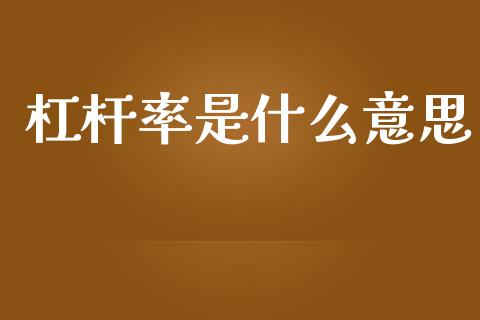 杠杆率是什么意思_https://wap.jnlaobingbanjia.com_股市行情_第1张