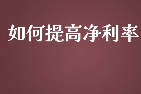 如何提高净利率_https://wap.jnlaobingbanjia.com_财经资讯_第1张