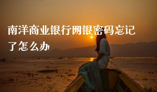 南洋商业银行网银密码忘记了怎么办_https://wap.jnlaobingbanjia.com_财务管理_第1张