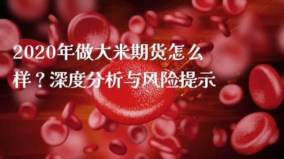 2020年做大米期货怎么样？深度分析与风险提示_https://wap.jnlaobingbanjia.com_基金分析_第1张