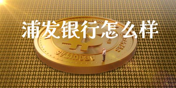 浦发银行怎么样_https://wap.jnlaobingbanjia.com_财务管理_第1张