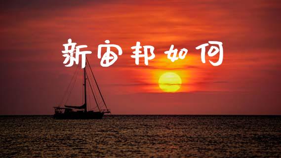 新宙邦如何_https://wap.jnlaobingbanjia.com_金融理财_第1张