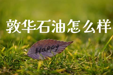 敦华石油怎么样_https://wap.jnlaobingbanjia.com_财务管理_第1张
