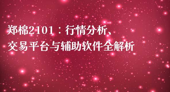 郑棉2101：行情分析、交易平台与辅助软件全解析_https://wap.jnlaobingbanjia.com_财务管理_第1张