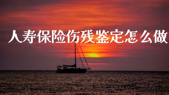 人寿保险伤残鉴定怎么做_https://wap.jnlaobingbanjia.com_金融理财_第1张