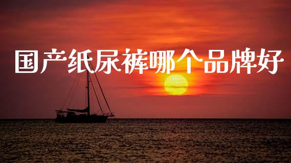 国产纸尿裤哪个品牌好_https://wap.jnlaobingbanjia.com_证券公告_第1张