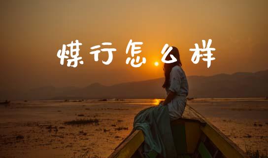 煤行怎么样_https://wap.jnlaobingbanjia.com_财经资讯_第1张