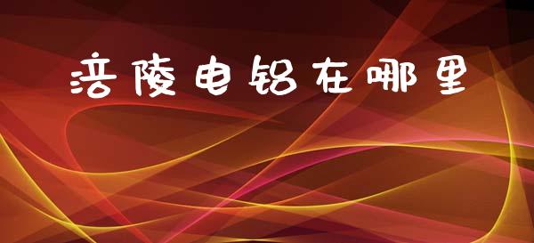 涪陵电铝在哪里_https://wap.jnlaobingbanjia.com_财务管理_第1张