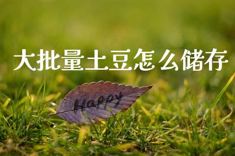 大批量土豆怎么储存_https://wap.jnlaobingbanjia.com_财经资讯_第1张