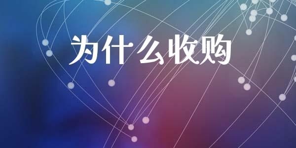 为什么收购_https://wap.jnlaobingbanjia.com_基金分析_第1张
