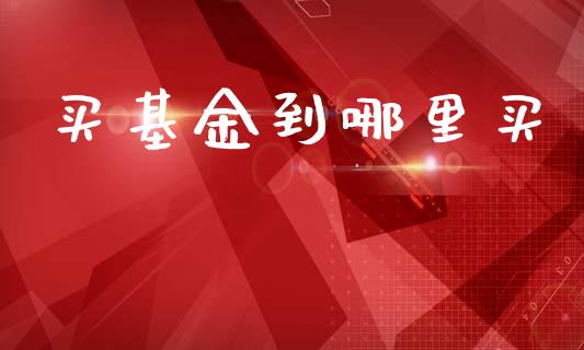 买基金到哪里买_https://wap.jnlaobingbanjia.com_金融理财_第1张