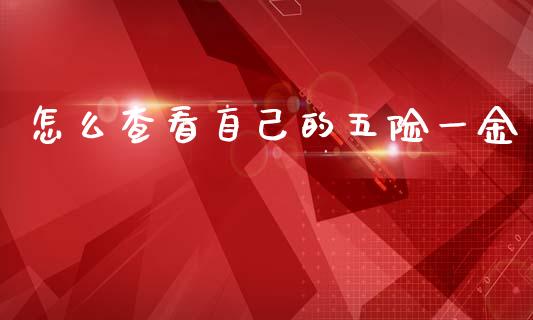 怎么查看自己的五险一金_https://wap.jnlaobingbanjia.com_基金分析_第1张