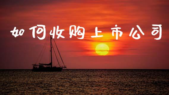 如何收购上市公司_https://wap.jnlaobingbanjia.com_股市行情_第1张