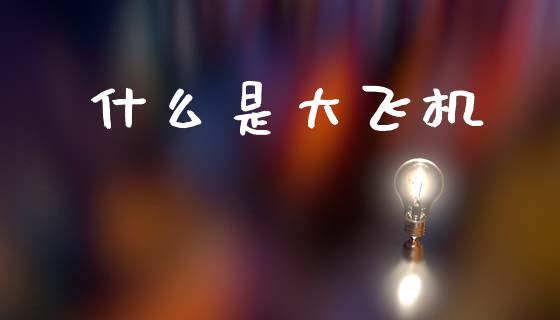 什么是大飞机_https://wap.jnlaobingbanjia.com_股市行情_第1张