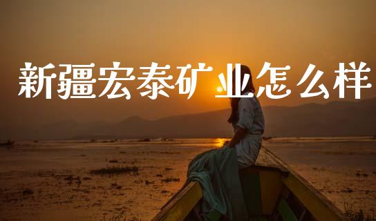 新疆宏泰矿业怎么样_https://wap.jnlaobingbanjia.com_财务管理_第1张