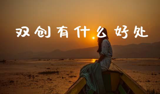双创有什么好处_https://wap.jnlaobingbanjia.com_财务管理_第1张