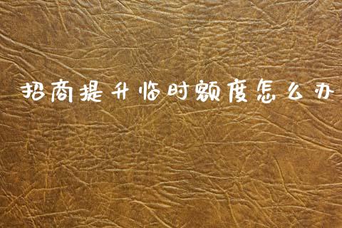 招商提升临时额度怎么办_https://wap.jnlaobingbanjia.com_基金分析_第1张