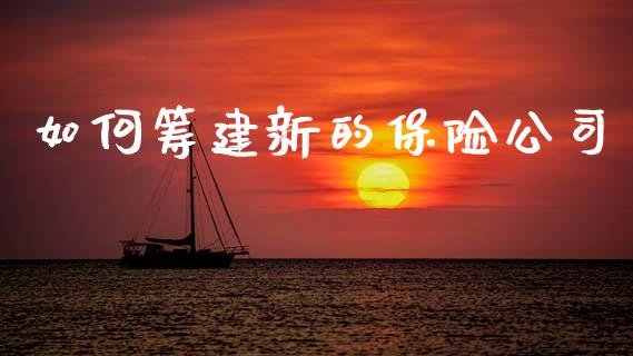 如何筹建新的保险公司_https://wap.jnlaobingbanjia.com_证券公告_第1张