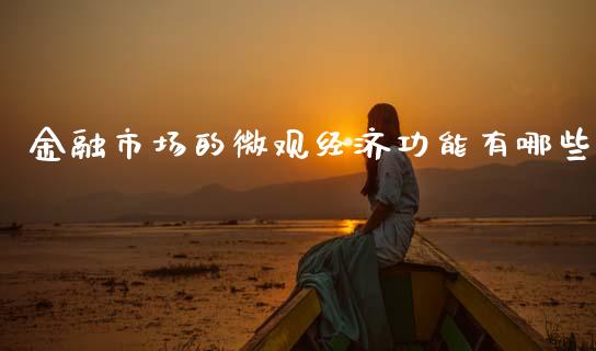 金融市场的微观经济功能有哪些_https://wap.jnlaobingbanjia.com_股市行情_第1张