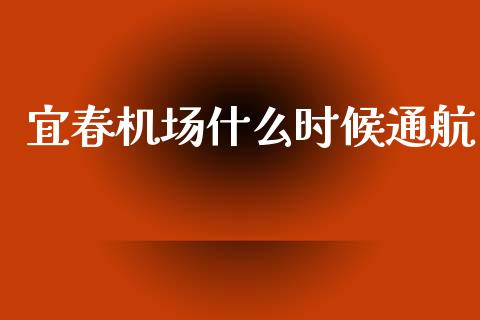 宜春机场什么时候通航_https://wap.jnlaobingbanjia.com_证券公告_第1张