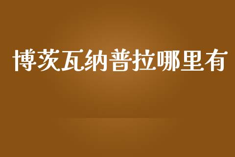 博茨瓦纳普拉哪里有_https://wap.jnlaobingbanjia.com_金融理财_第1张
