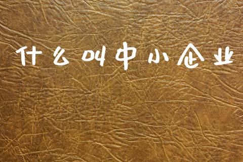 什么叫中小企业_https://wap.jnlaobingbanjia.com_财经资讯_第1张