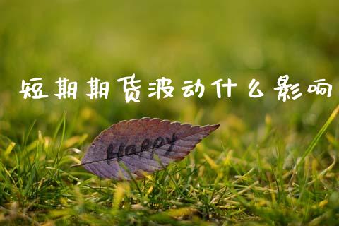 短期期货波动什么影响_金融理财_第1张_财经资讯_股市行情_财务管理_金融理财 短期期货波动什么影响_https://wap.jnlaobingbanjia.com_金融理财_第1张