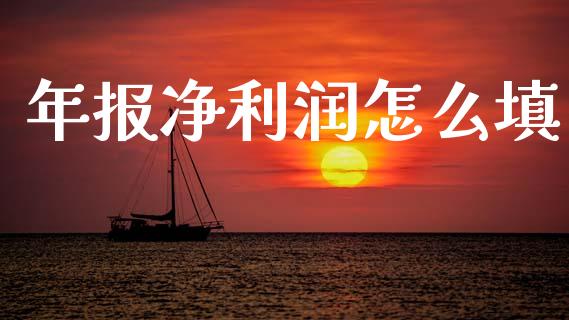 年报净利润怎么填_https://wap.jnlaobingbanjia.com_财经资讯_第1张