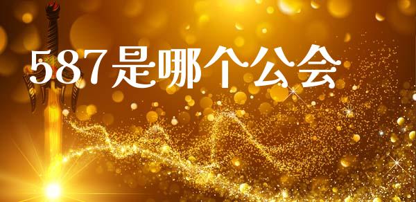 587是哪个公会_https://wap.jnlaobingbanjia.com_金融理财_第1张