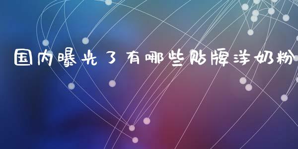 国内曝光了有哪些贴牌洋奶粉_https://wap.jnlaobingbanjia.com_证券公告_第1张