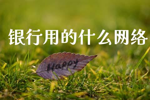 银行用的什么网络_https://wap.jnlaobingbanjia.com_财务管理_第1张