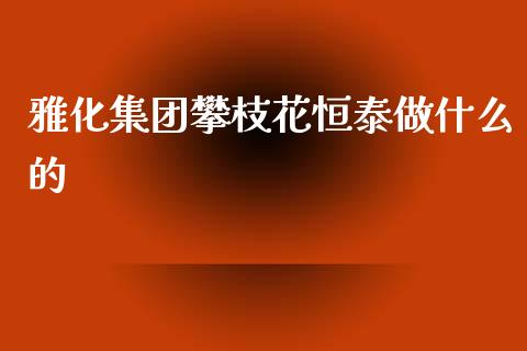 雅化集团攀枝花恒泰做什么的_https://wap.jnlaobingbanjia.com_基金分析_第1张