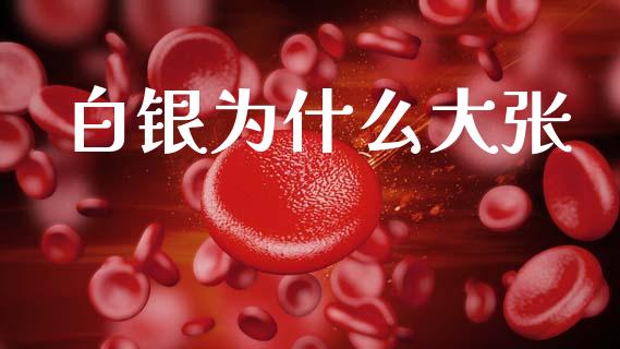 白银为什么大张_https://wap.jnlaobingbanjia.com_金融理财_第1张