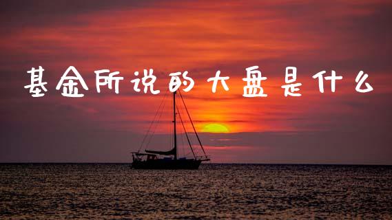 基金所说的大盘是什么_https://wap.jnlaobingbanjia.com_财务管理_第1张