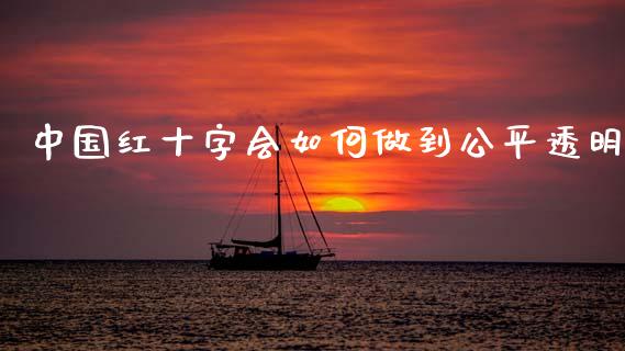 中国红十字会如何做到公平透明_https://wap.jnlaobingbanjia.com_财经资讯_第1张