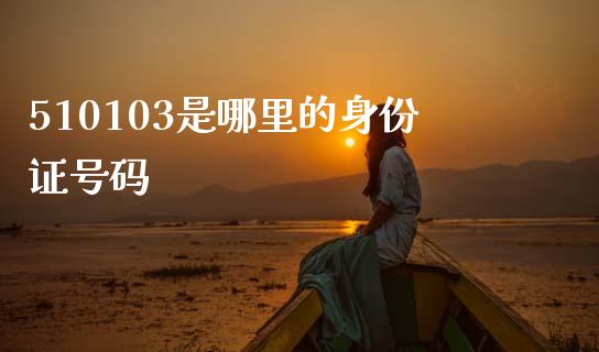 510103是哪里的身份证号码_https://wap.jnlaobingbanjia.com_财务管理_第1张