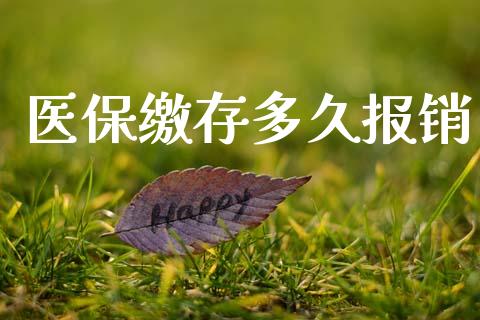 医保缴存多久报销_https://wap.jnlaobingbanjia.com_财务管理_第1张