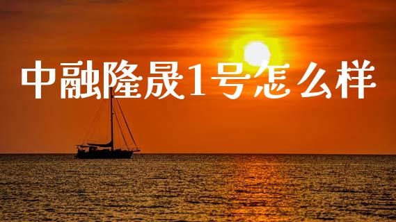 中融隆晟1号怎么样_https://wap.jnlaobingbanjia.com_基金分析_第1张