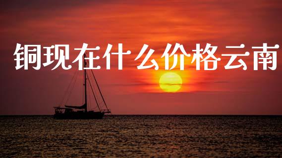 铜现在什么价格云南_https://wap.jnlaobingbanjia.com_财务管理_第1张