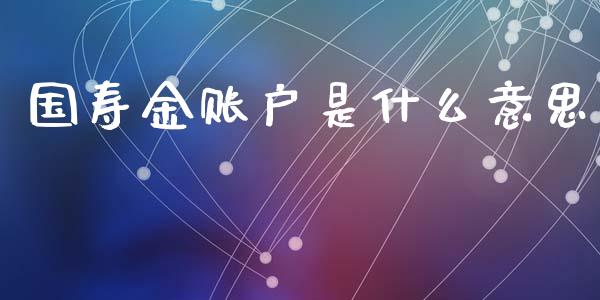 国寿金账户是什么意思_https://wap.jnlaobingbanjia.com_基金分析_第1张